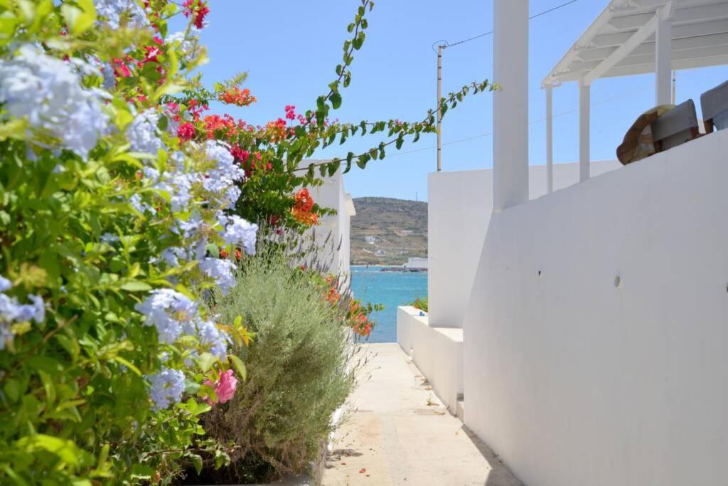 Vila Casa Mare Pollonia Exteriér fotografie
